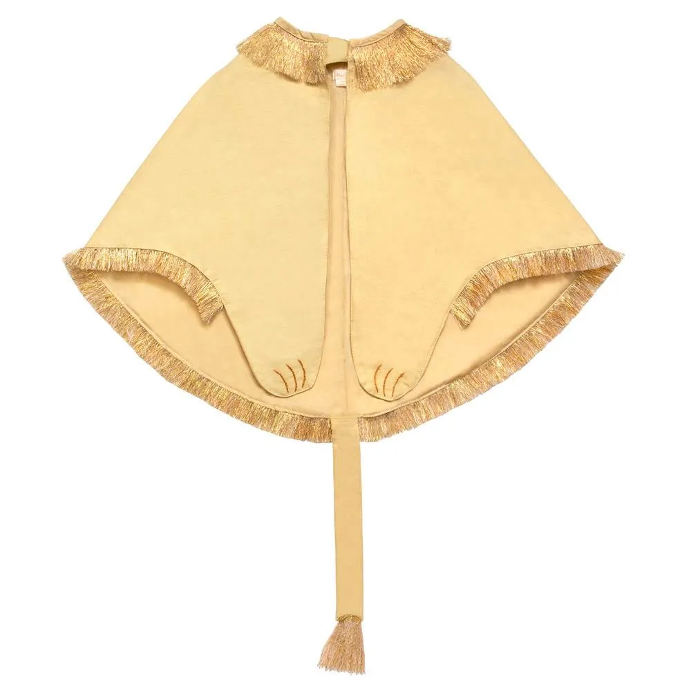 Costume da leone